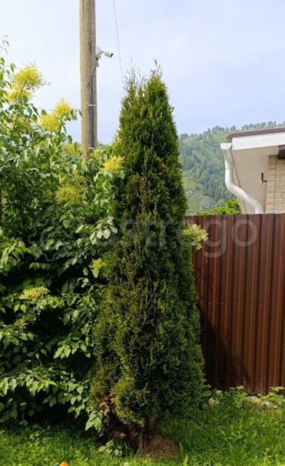 Земельный участок, 8.5 сотки Майма - изображение 4