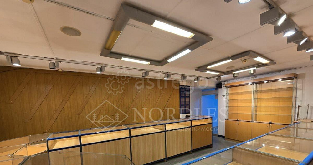 Торговое помещение, 41 м2 Щёлково - изображение 1