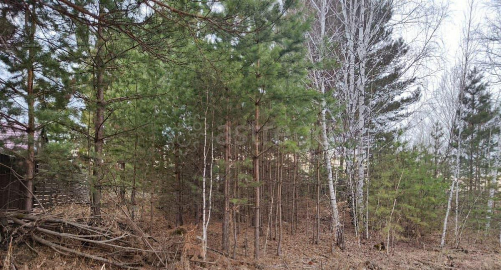 Земельный участок, 10.3 сотки Сосновоборск - изображение 1