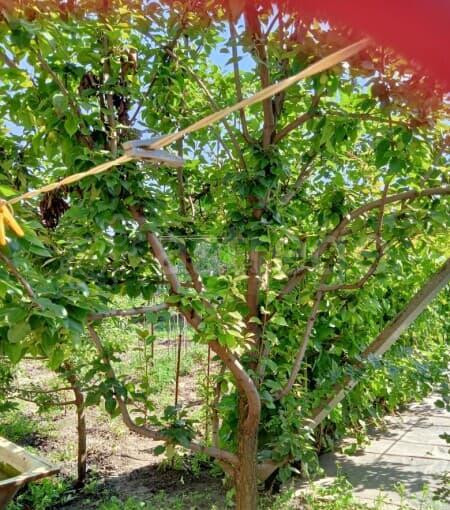 Дом, 89 м2 Губкин - изображение 4