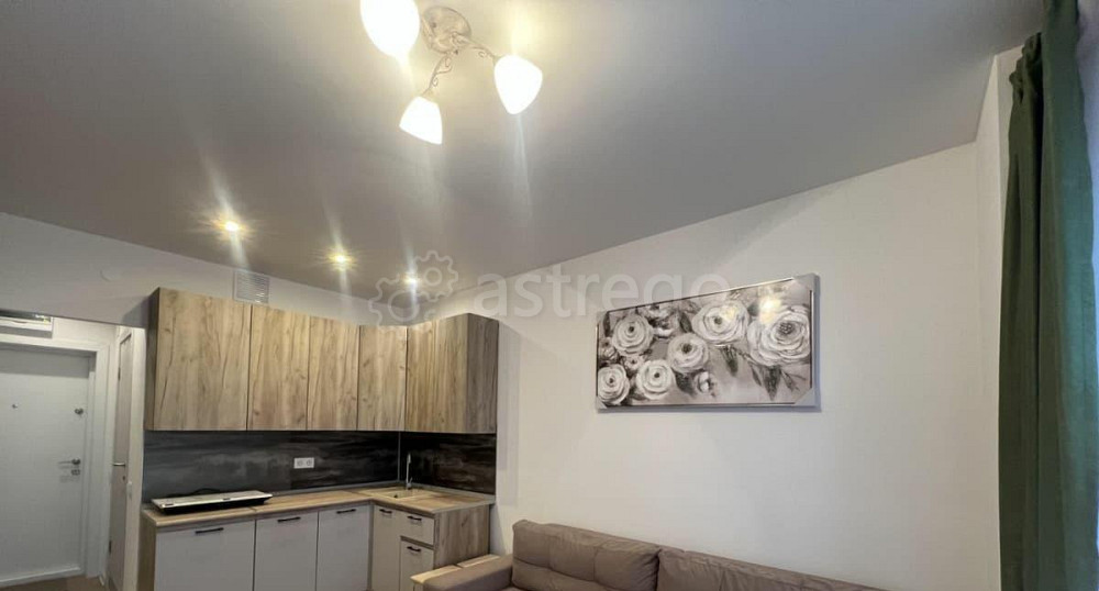 Студия, 20 м2, 10/33 эт. Москва - изображение 4