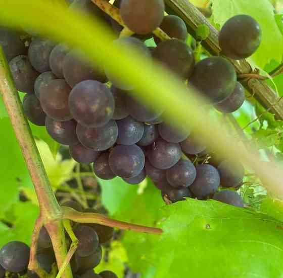 Дом, 204.6 м2, 12 соток, 3 эт. Подольск