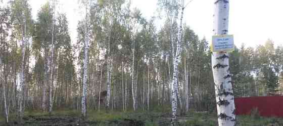 Земельный участок, 8.3 сотки Павловский Посад