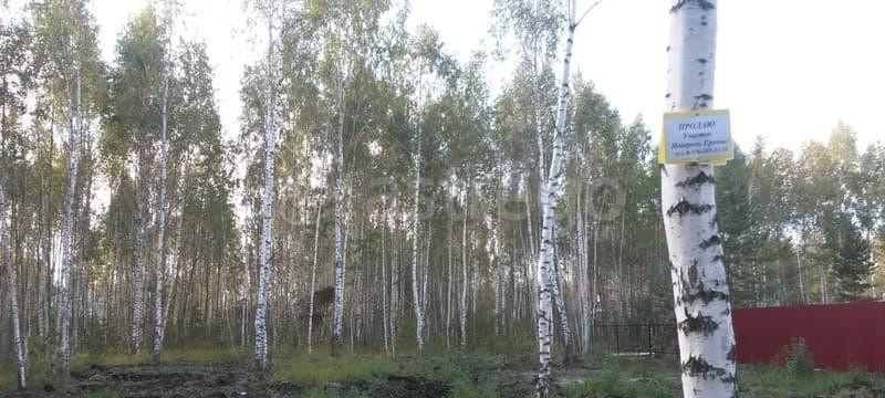 Земельный участок, 8.3 сотки Павловский Посад - изображение 5