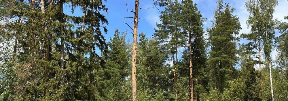 Земельный участок, 10.81 сотки Электроугли - изображение 7