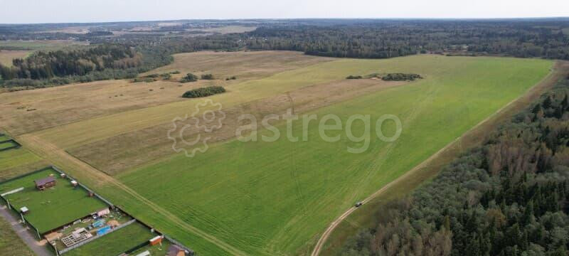 Земля с/х назначения, 26 га Руза - изображение 3