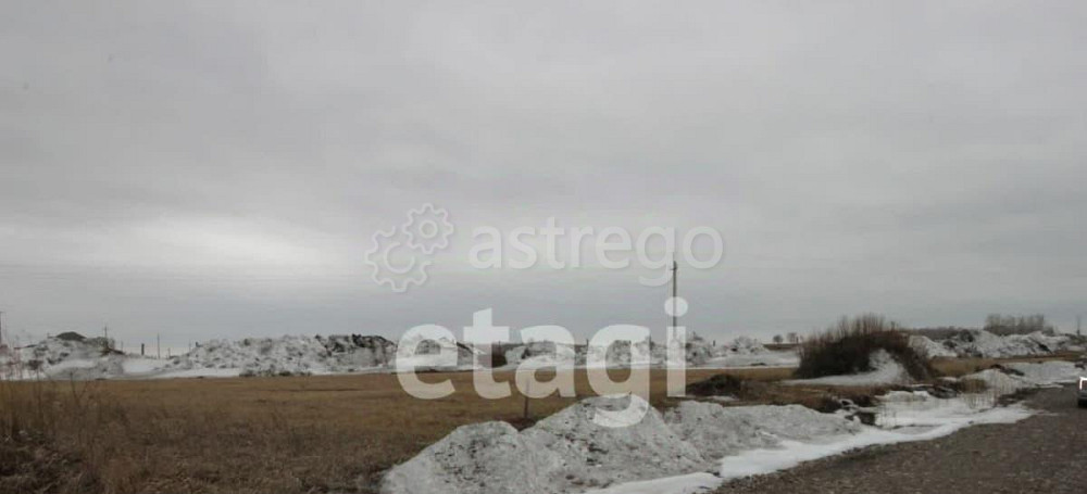 Земельный участок, 10 соток Красноярск - изображение 4