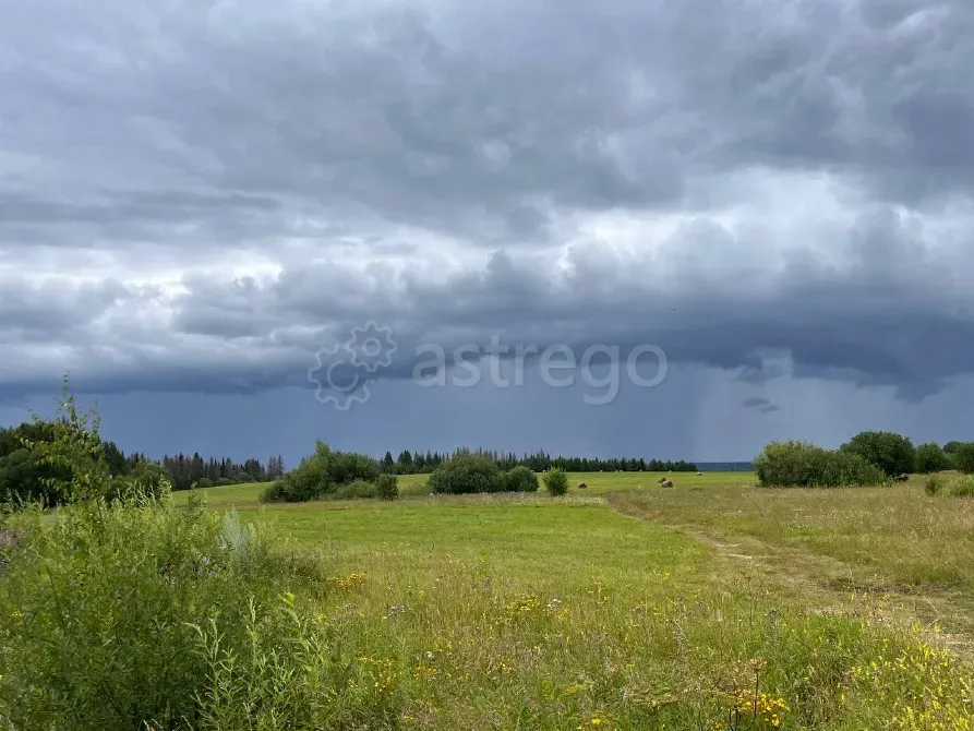 Продам участок, Фермерский, 30000 сот. Пермь - изображение 7