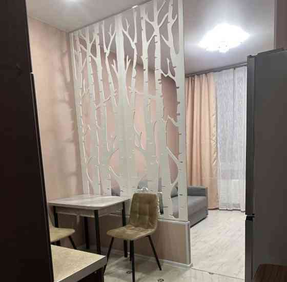 Студия, 25 м2, 4/24 эт. Люберцы
