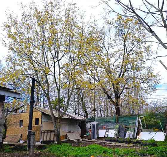 Земельный участок, 12 соток Санкт-Петербург