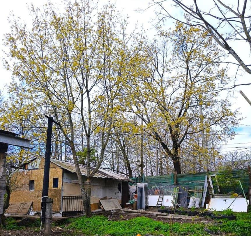Земельный участок, 12 соток Санкт-Петербург - изображение 4