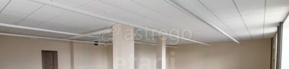 Торговое помещение, 207.3 м2 Красноярск - изображение 4