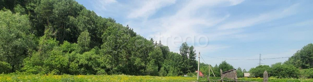 Земельный участок, 0.53 га Алтайское - изображение 4