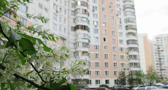 3-комн. квартира, 77 м2, 7/17 эт. Москва