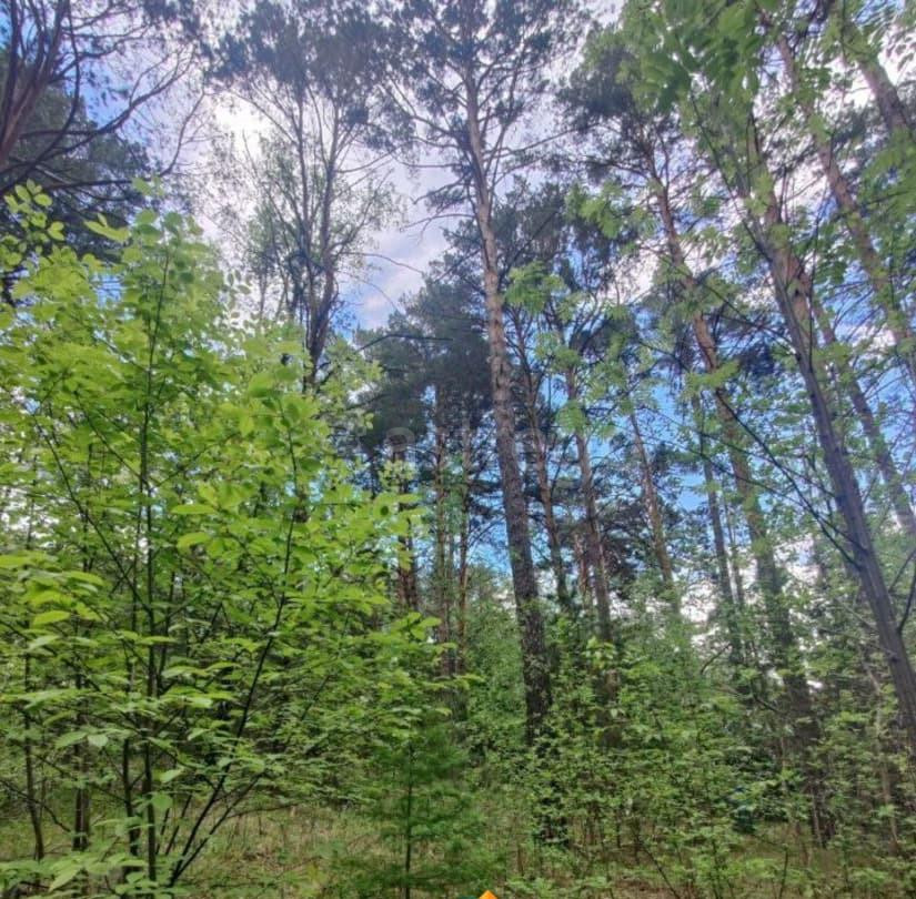 Земельный участок, 9.6 сотки Красноярск - изображение 5