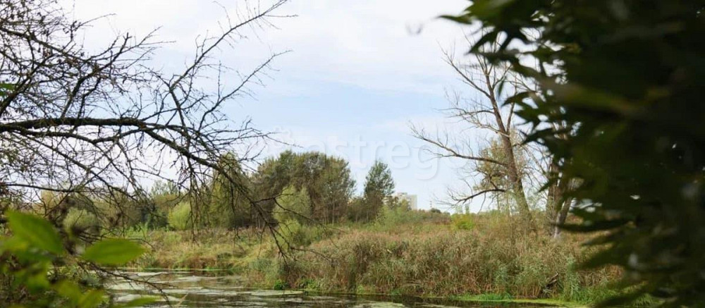 Дом, 234 м2, 19 соток, 2 эт. Клин - изображение 7