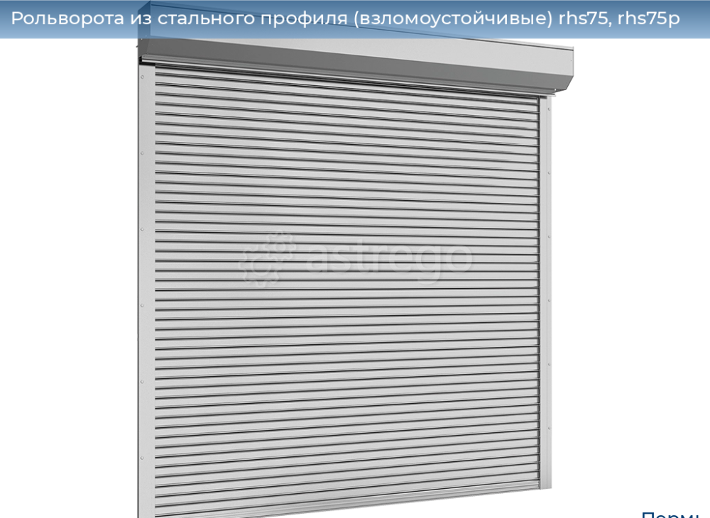 Рольворота из стального профиля (взломоустойчивые) RHS75, RHS75P Пермь - изображение 1
