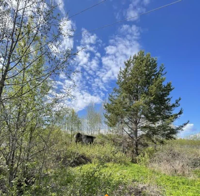 Земельный участок, 9.64 га Котлас - изображение 3