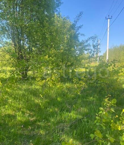 Земля под ИЖС, 15 соток Дмитров - изображение 6