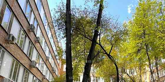 Торговое помещение, 237.9 м2 Москва