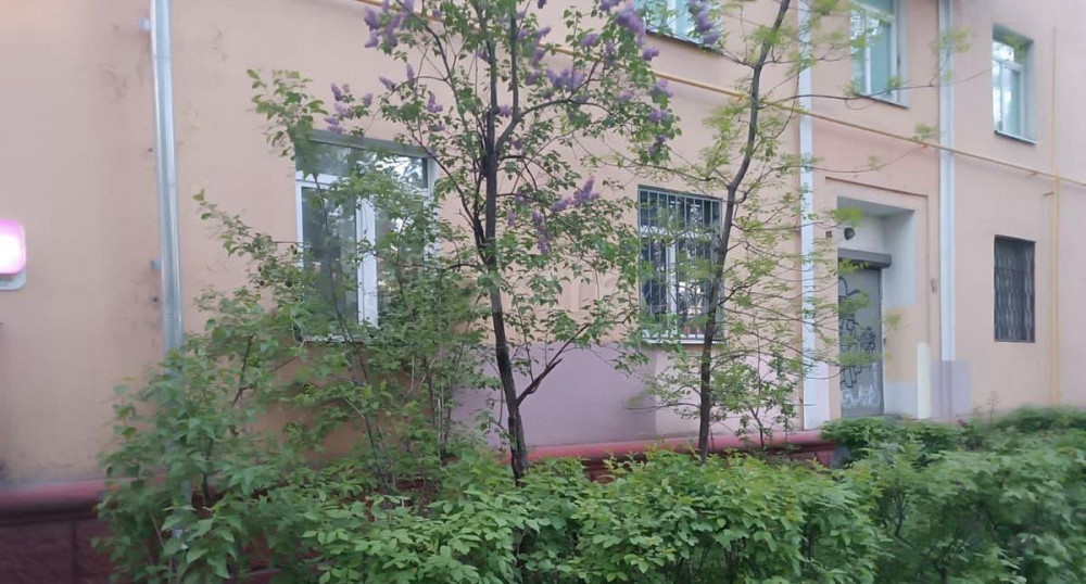 4-комн. квартира, 84.8 м2, 1/5 эт. Балашиха - изображение 4