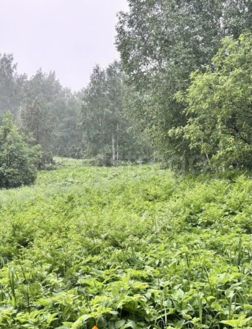 Земельный участок, 8 соток Горно-Алтайск - изображение 1