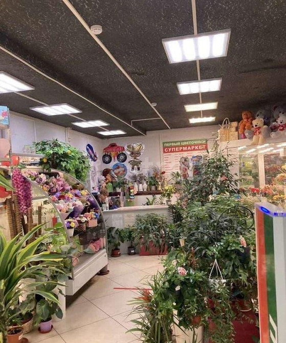 Свободного назначения, 9.6 м2 Северодвинск - изображение 10