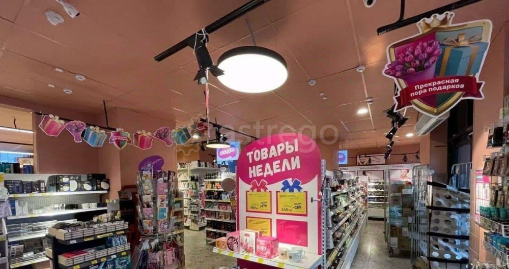 Свободного назначения, 172.5 м2 Апрелевка - изображение 3