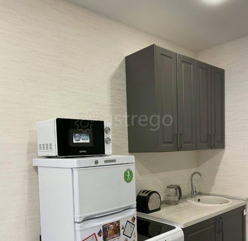 Студия, 25 м2, 10/17 эт. Красноярск - изображение 5