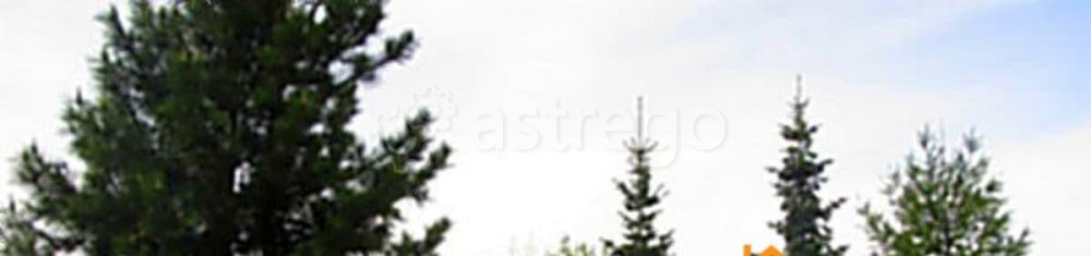 Коттедж, 342 м2, 14 соток, 2 эт. Красноярск - изображение 3