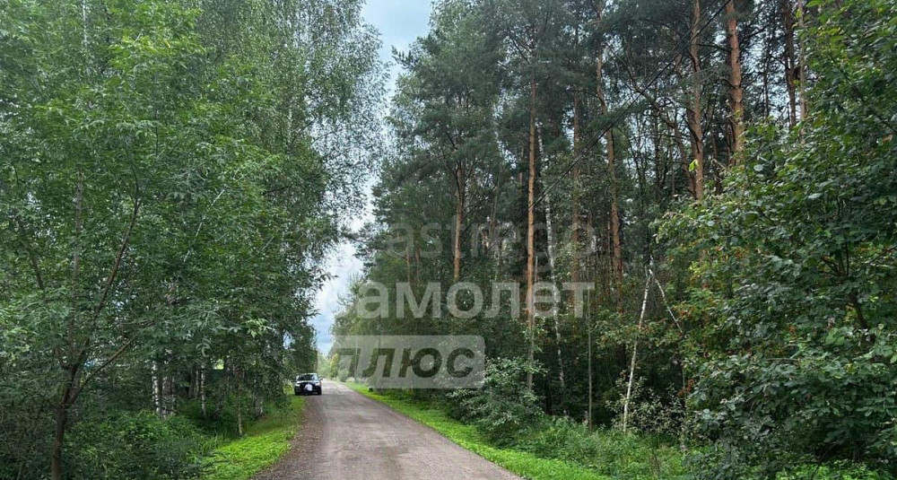 Коммерческий участок, 19.8 сотки Дубна - изображение 5