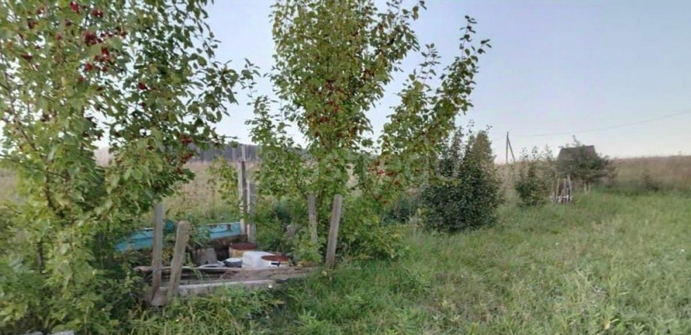 Земельный участок, 10 соток Емельяново - изображение 1