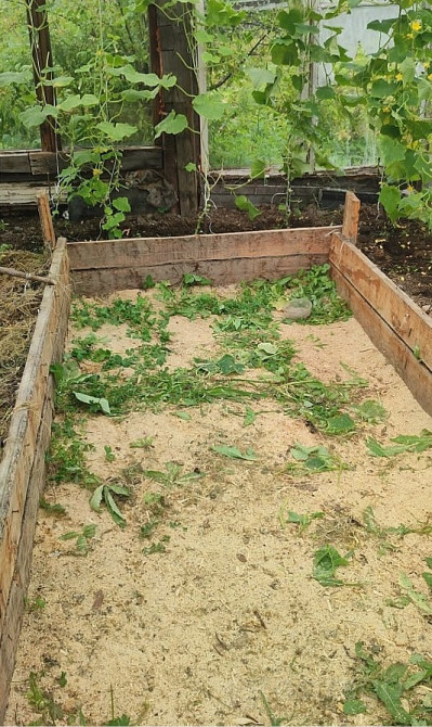 Продам дачу, 30 м2, Садовый Участок 6 сот. Комсомольск-на-Амуре - изображение 9