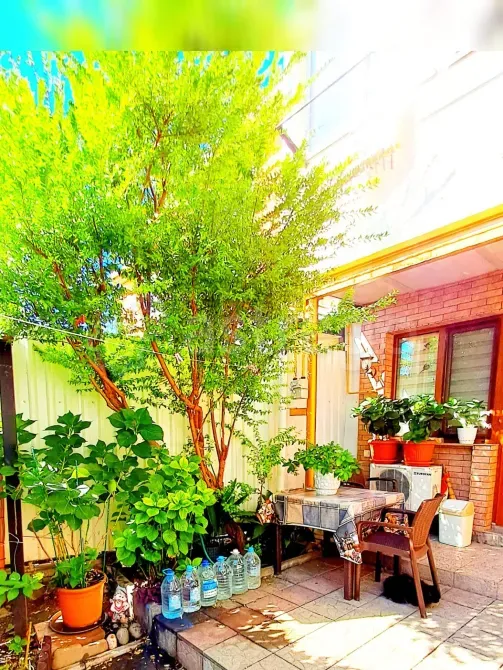 Сдам 1-комн. квартиру, 33 м2, 1/3 эт., посуточно Ялта - изображение 2