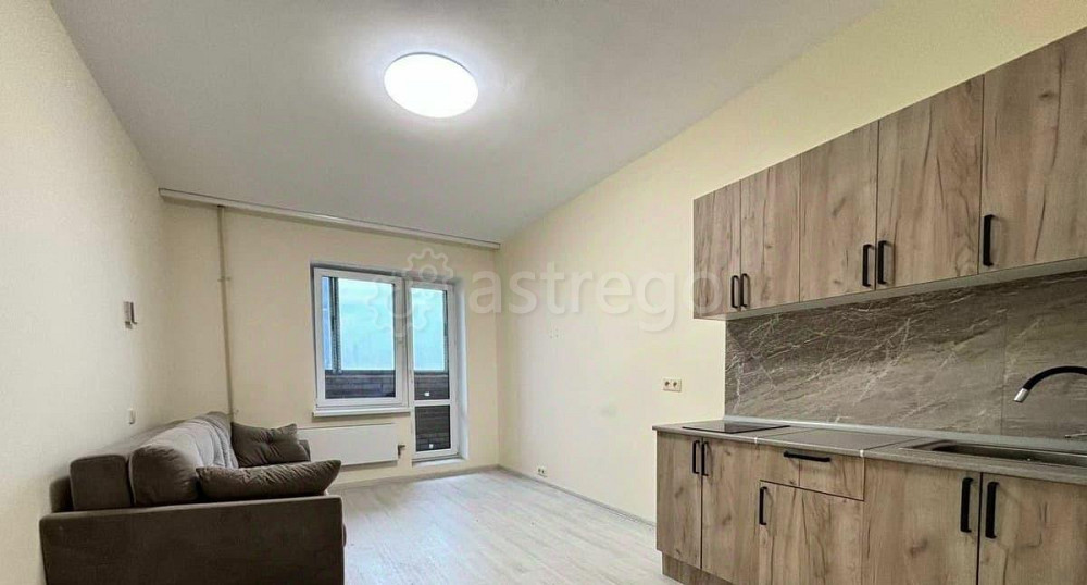 Студия, 22.2 м2, 16/17 эт. Ногинск - изображение 1