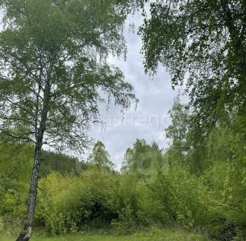 Земельный участок, 33.8 га Красноярск - изображение 4