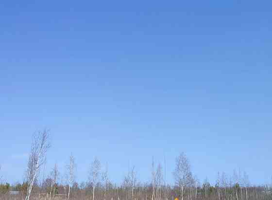 Земельный участок, 11.97 сотки Электрогорск