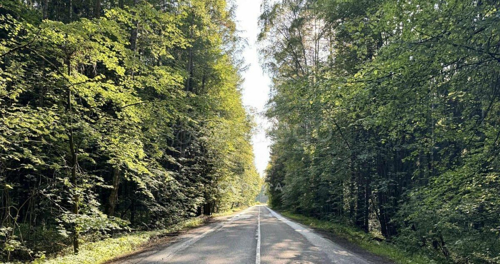 Коммерческий участок, 50 соток Пушкино - изображение 6