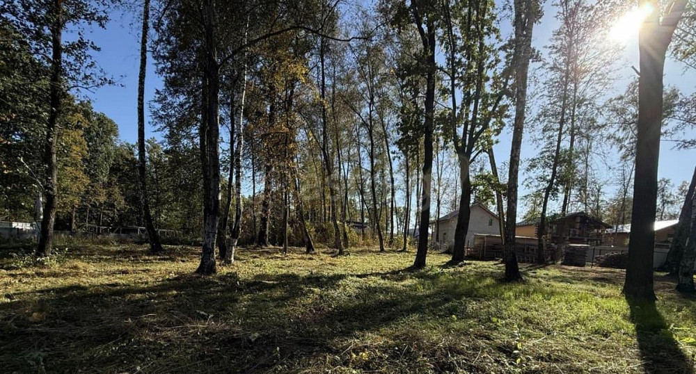 Земельный участок, 9.8 сотки Домодедово - изображение 3