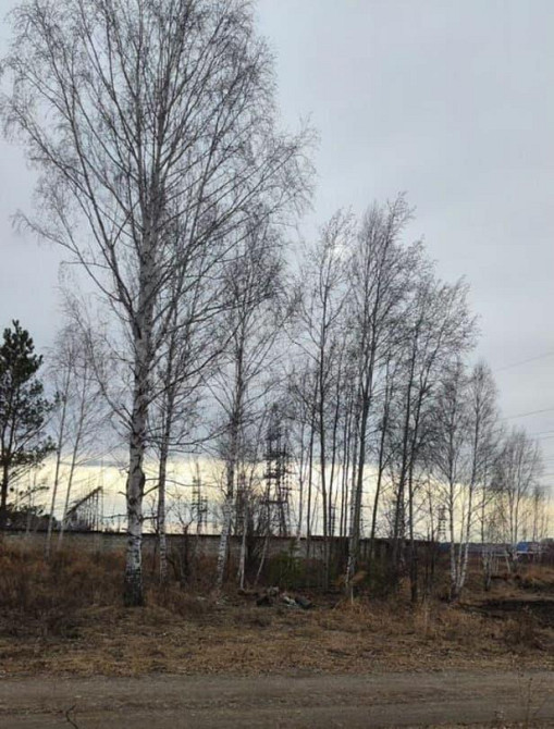 Земельный участок, 10.3 сотки Сосновоборск - изображение 5