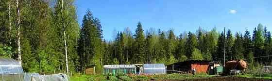 Дом, 60 м2, 15.8 сотки, 1 эт. Коноша