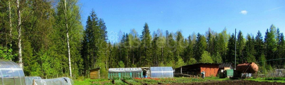 Дом, 60 м2, 15.8 сотки, 1 эт. Коноша - изображение 5