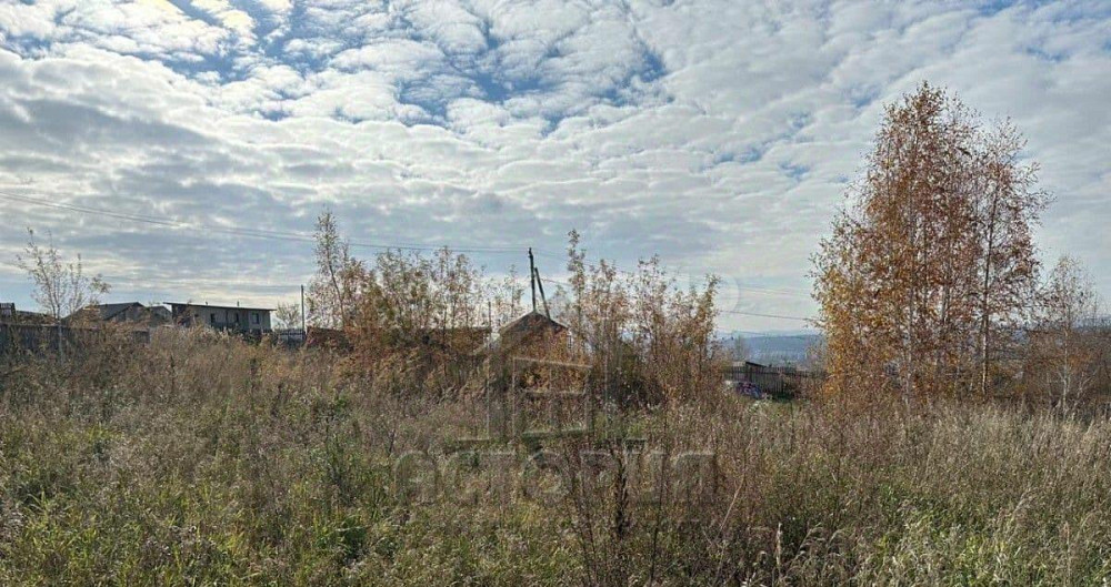 Земельный участок, 10 соток Емельяново - изображение 4