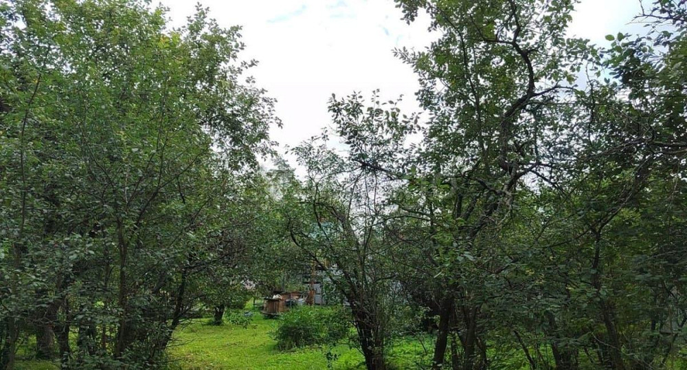 Земельный участок, 11 соток Щёлково - изображение 4