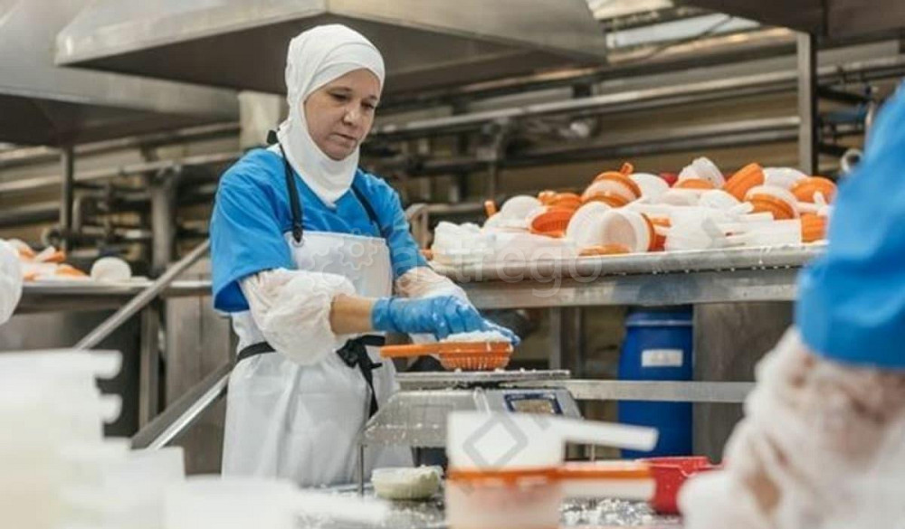 Производственное, 1200 м, 50 соток Адыгейск - изображение 10