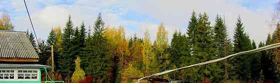 Дом, 60 м2, 15.8 сотки, 1 эт. Коноша