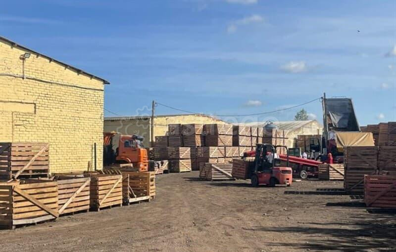 Производственное, 6640 м2 Санкт-Петербург - изображение 6