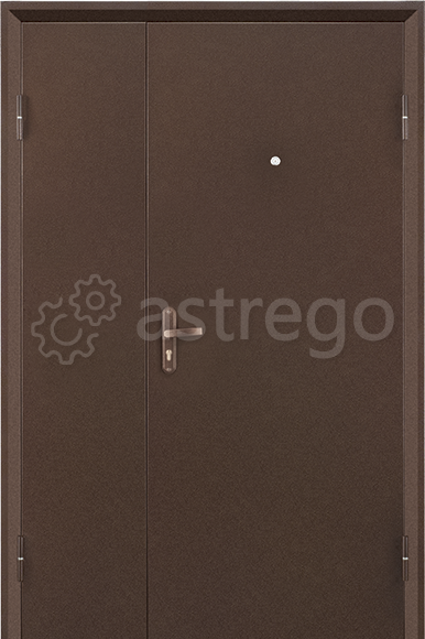 Металлическая дверь Профи DL Новосибирск - изображение 1