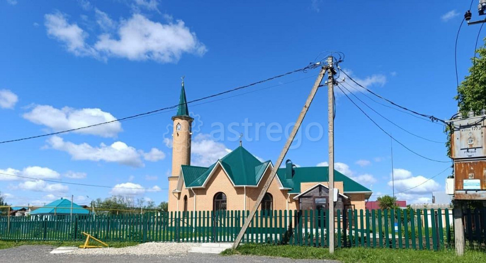 Коттедж, 115 м2, 200 га, 1 эт. Чишмы - изображение 2