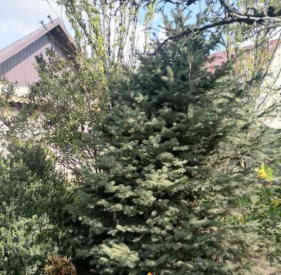 Дом, 72 м2, 3.5 сотки, 1 эт. Астрахань